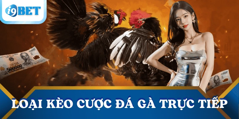 Trực tiếp đá gà tại I9BET- Chất lượng đỉnh cao, kèo siêu đa dạng 4 cac-keo-cuoc-truc-tiep-da-ga