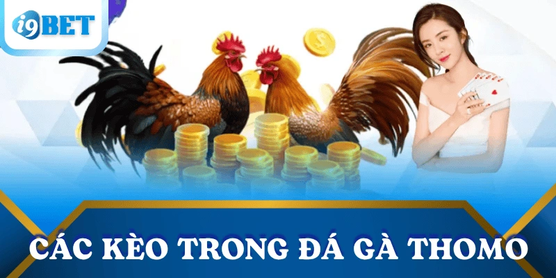 Đá gà Thomo tại I9BET: Sát phạt nghẹt thở – cược đâu thắng đó 2 cac-keo-trong-da-ga-Thomo