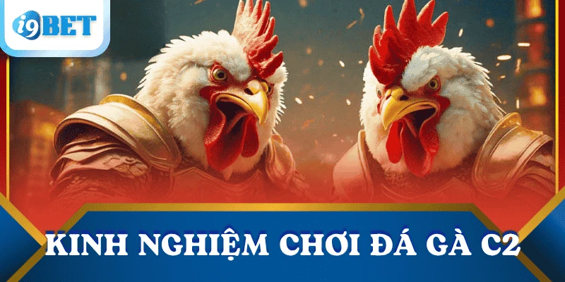 Đá gà C2: Luật chơi, mẹo cược và lý do nên chọn I9BET 3 cach-choi-da-ga-c2