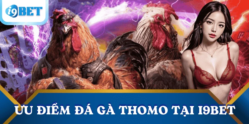 Đá gà Thomo tại I9BET: Sát phạt nghẹt thở – cược đâu thắng đó 4 uu-diem-da-ga-Thomo-tai-I9BET